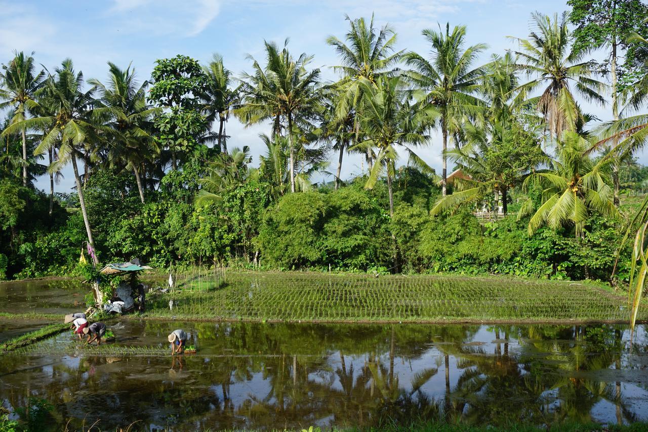 Puri Kobot Hotel Ubud  Luaran gambar