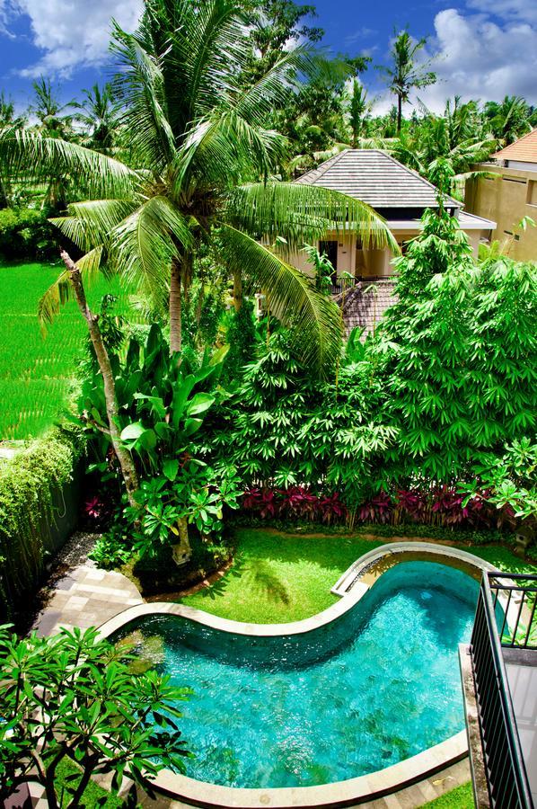 Puri Kobot Hotel Ubud  Luaran gambar